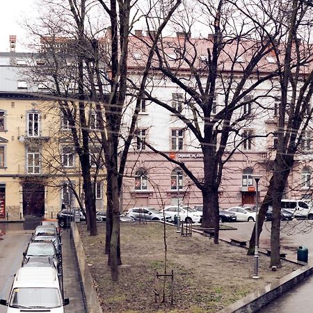 Apartments Near Potocki Palace إلفيف المظهر الخارجي الصورة