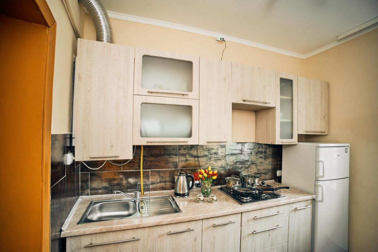 Apartments Near Potocki Palace إلفيف المظهر الخارجي الصورة